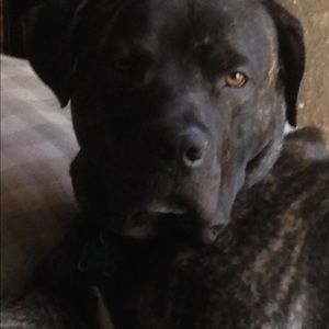 Meet your Posher, Fred